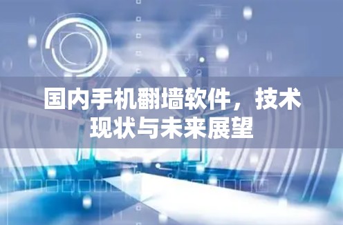 国内手机翻墙软件,技术现状与未来展望 国内手机翻墙软件,技术现状与未来展望