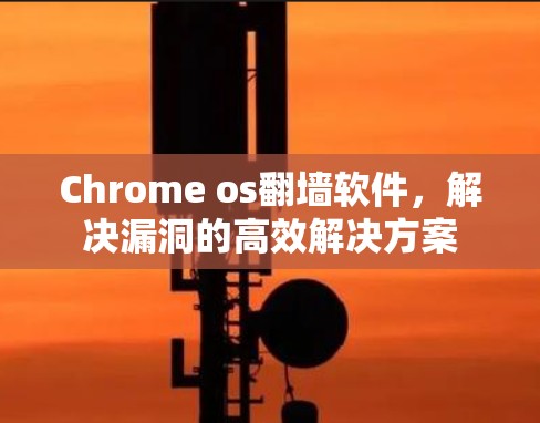 Chrome os翻墙软件,解决漏洞的高效解决方案 Chrome os翻墙软件,解决漏洞的高效解决方案