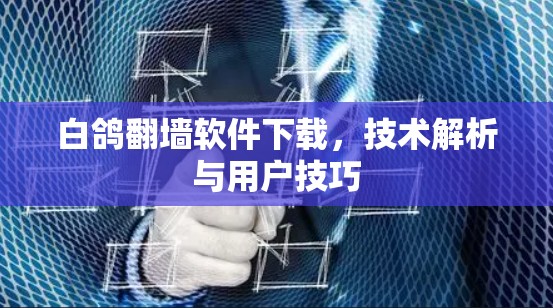 白鸽翻墙软件下载，技术解析与用户技巧